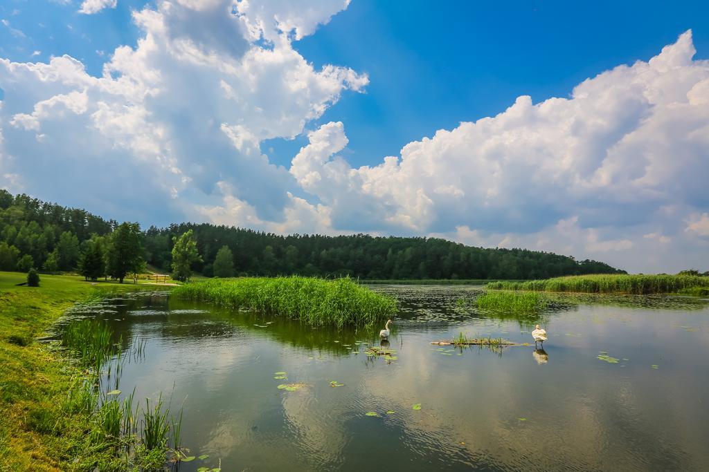Warminska Winnica Barczewo Exterior foto